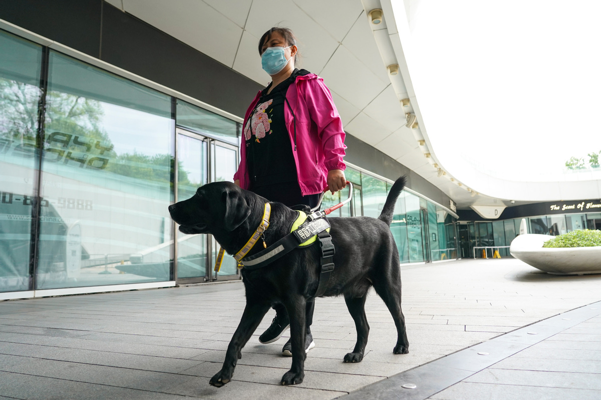 what is the purpose of guide dogs