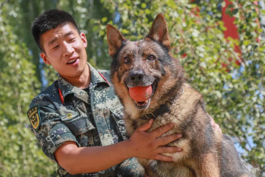 Police dogs in Ningxia learn their craft - Chinadaily.com.cn