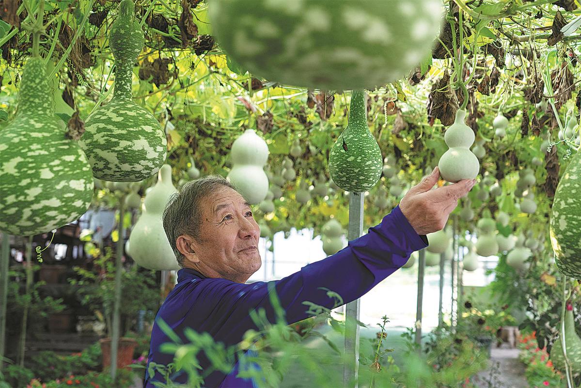 planting-gourds-to-help-a-village-man-get-healthy-chinadaily-cn