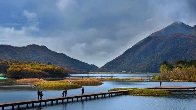 Fines to rise for damage to wetlands - Vimarsana News