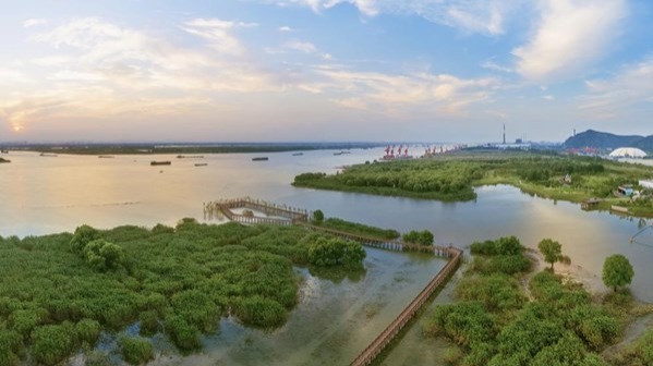 Yangtze Delta region's growth to gain speed - Vimarsana News