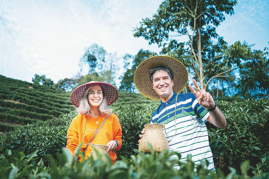 Tea tourism revives village - Chinadaily.com.cn