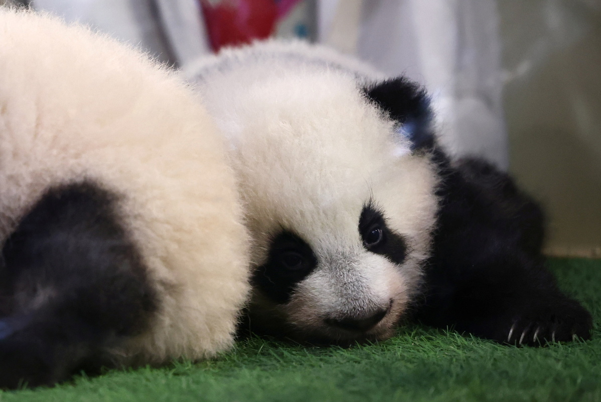 Twin babies with Cubs-inspired names getting attention