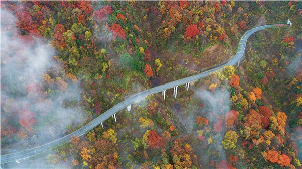 Shennongjia's real beauty is more than just a myth - Vimarsana News