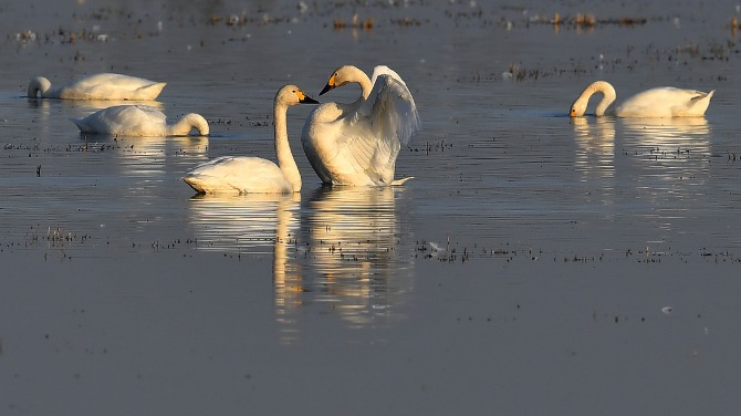 Generations of efforts to protect China's second-largest freshwater lake - Vimarsana News