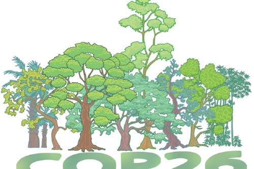 COP 26 finally shakes the trees - Opinion - Chinadaily.com.cn