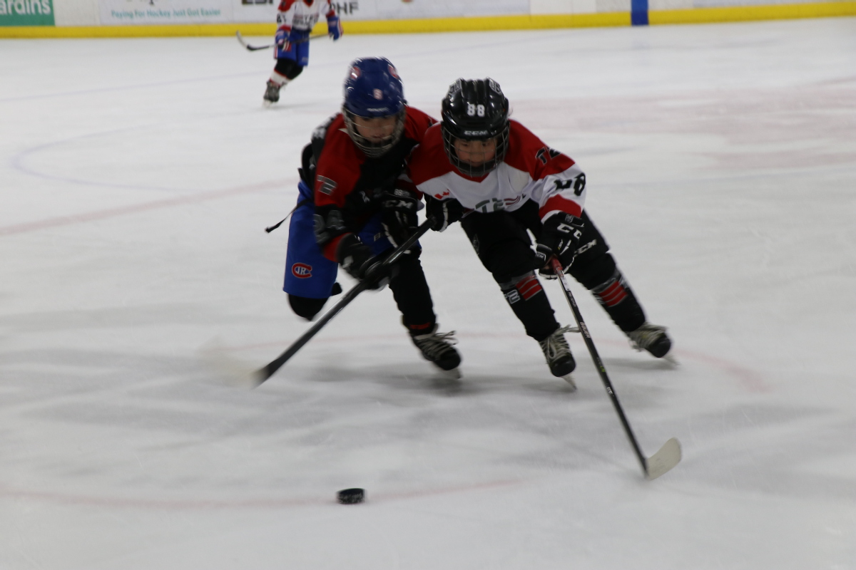 Youth hockey players inspired by Olympics