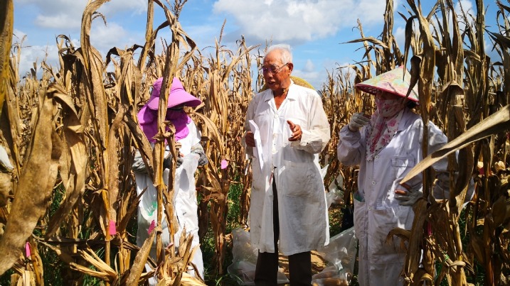 Lifetime researching corn reaps national bounty - Vimarsana News