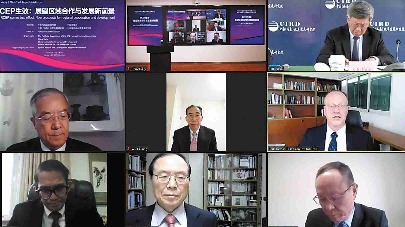 Experts urge greater RCEP coordination - Vimarsana News