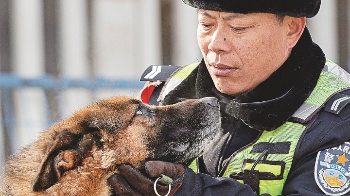 Famed patrol dog heads for well-earned retirement after a lifetime of service - Vimarsana News