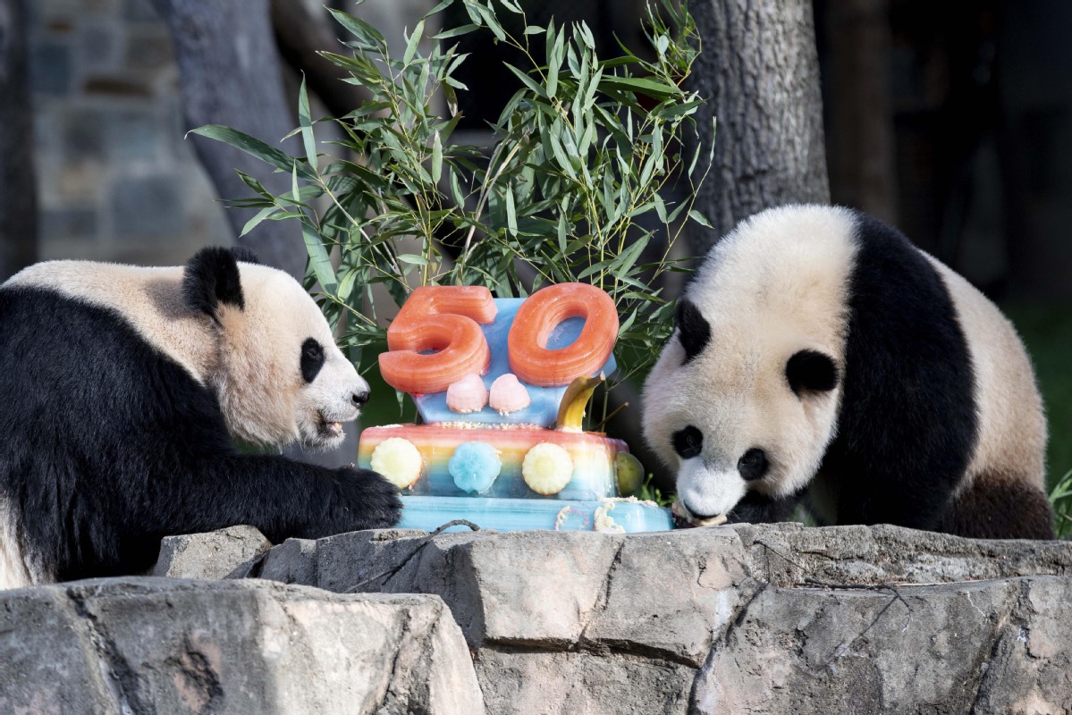 Smithsonian zoo in US celebrates 'Pandaversary' - World 