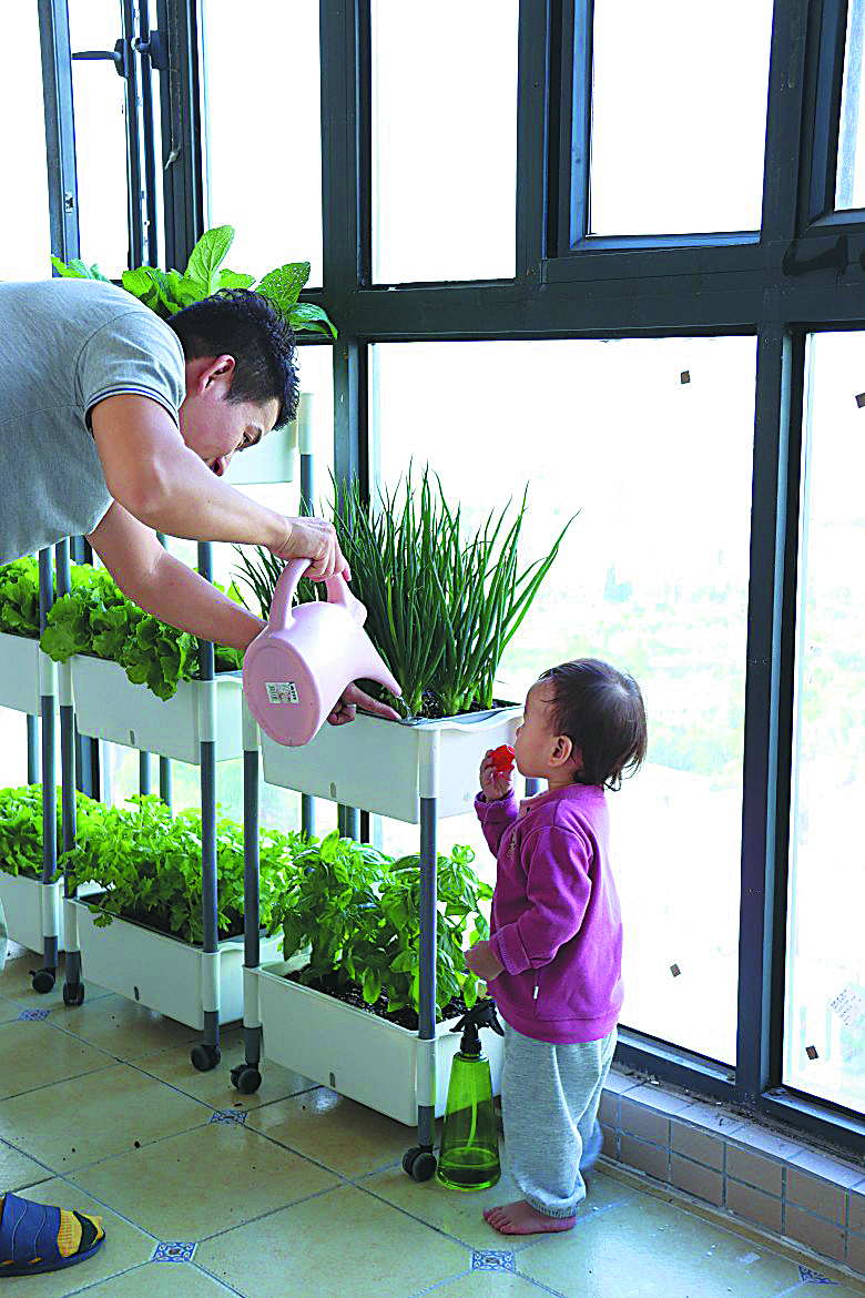 Balcony gardening becomes growing trend as lifestyle