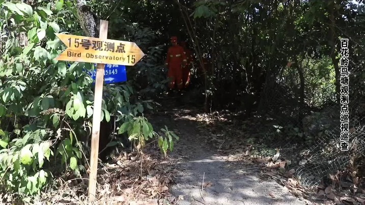 Recording endangered birds on Gaoligong Mountains - Vimarsana News