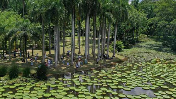 Visitors enticed by free access to top attractions - Vimarsana News