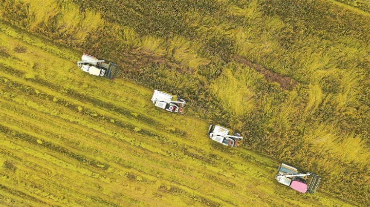 Zhejiang to host agricultural systems conference - Vimarsana News