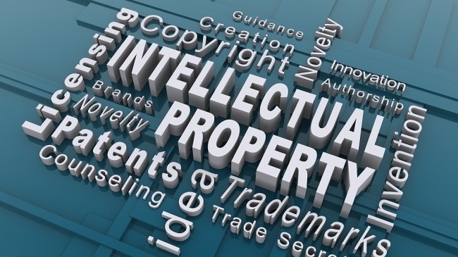 IPR policy seen as confidence booster - Vimarsana News