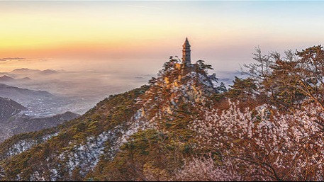 Upgraded farmhouses winning Jizhou more visits - Vimarsana News