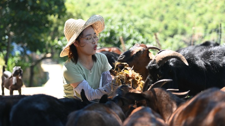 Woman raises goats to help vitalize rural hometown - Vimarsana News