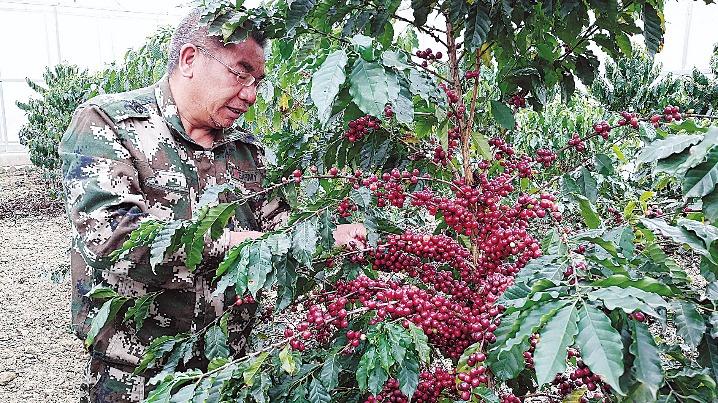 Expert hopes to brew success with coffee - Vimarsana News