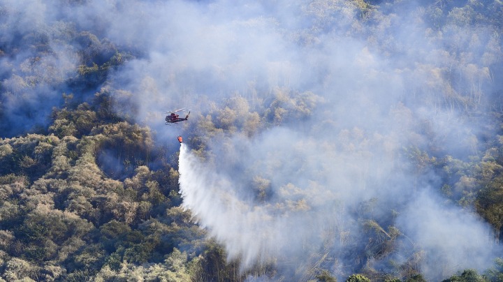 Chongqing wildfires put under control - Vimarsana News
