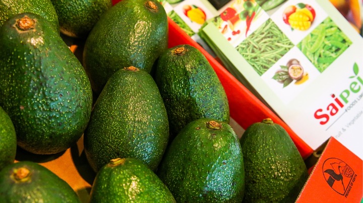 Kenya says first consignment of avocados hits Chinese market - Vimarsana News