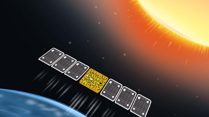 Solar satellite breaks ground with new data - Vimarsana News