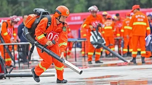 Chongqing to establish brigade for forest fires - Vimarsana News