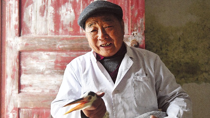 Pioneer keeps injured birds under wing - Vimarsana News