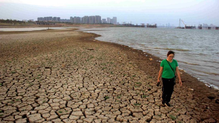 Drought causes water in Poyang to hit lowest level in decades - Vimarsana News