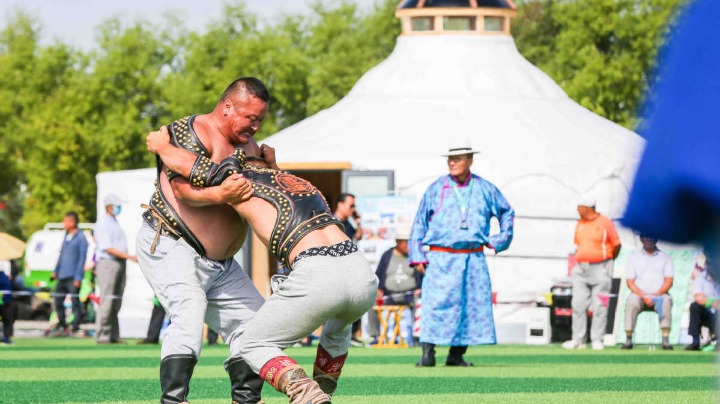 Xi's Inner Mongolia visit left a deep impression - Vimarsana News