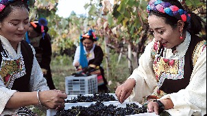 New farmers embrace entrepreneurial spirit - Vimarsana News