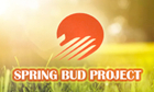 spring bud project