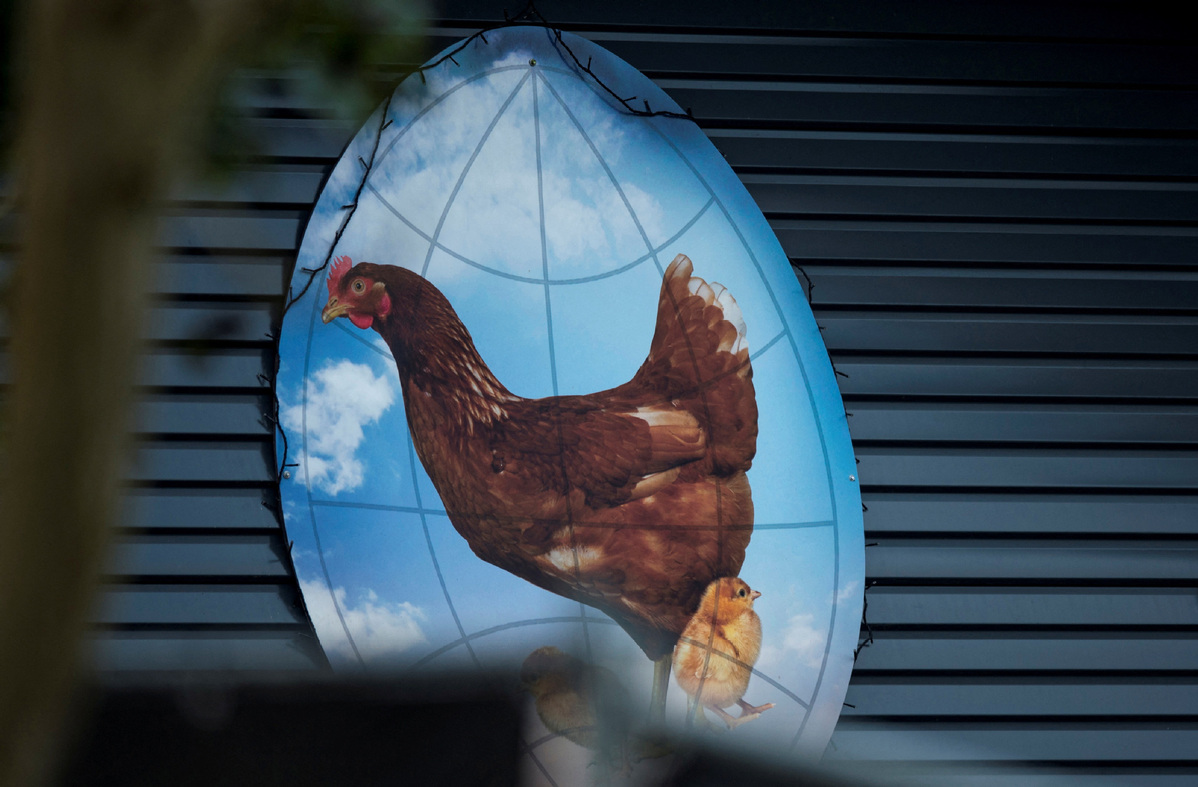 Europa se ha visto afectada por un número récord de brotes de gripe aviar