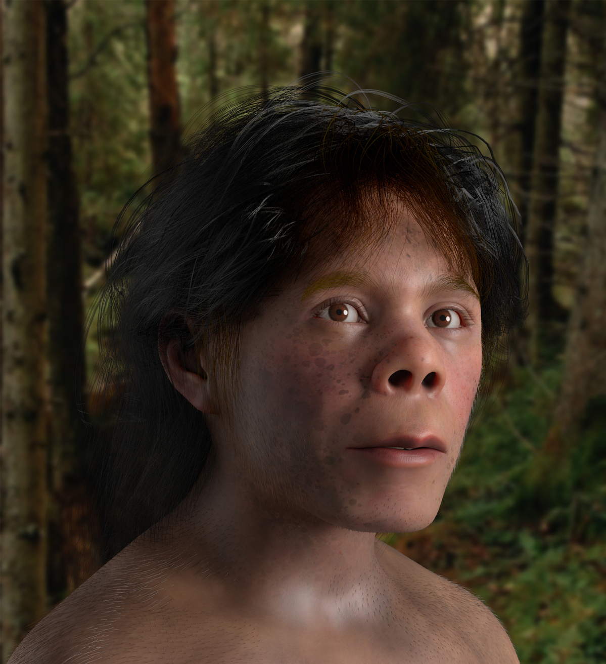 Neanderthal boy's skull reconstructed - Chinadaily.com.cn