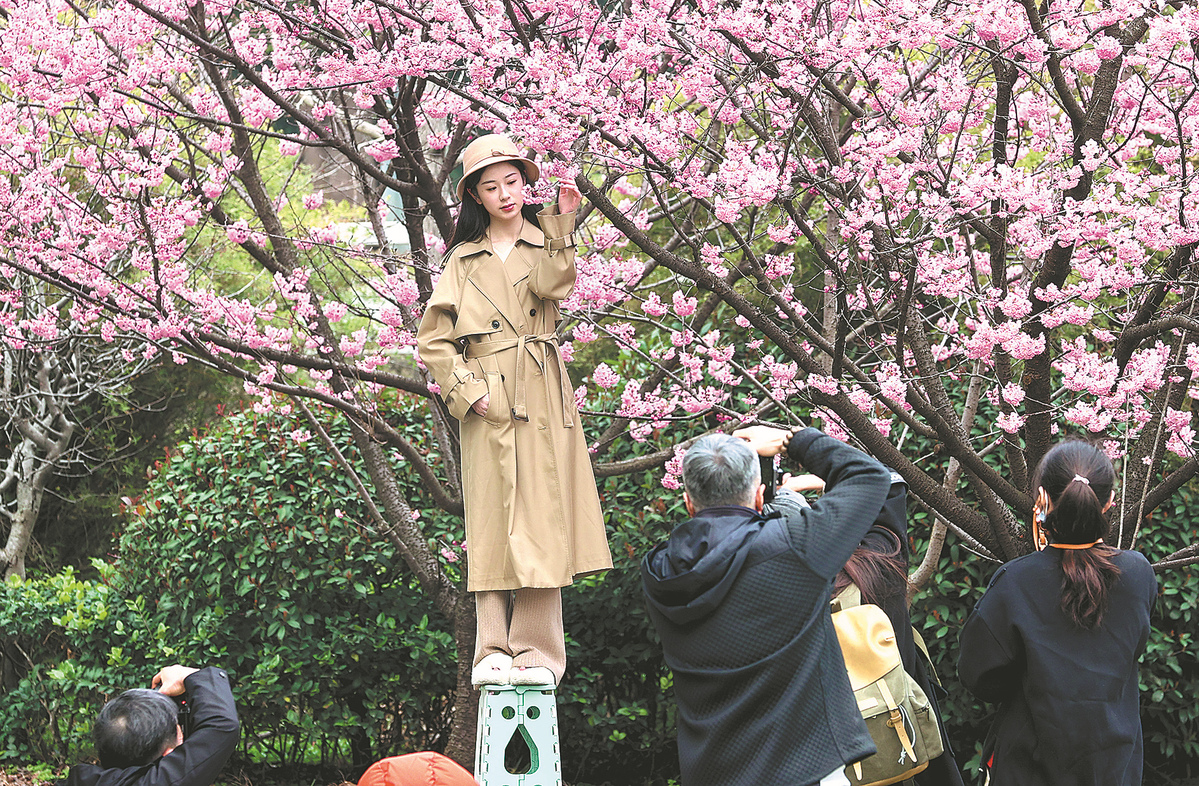 Wuhan University offers chance to see cherry blossoms