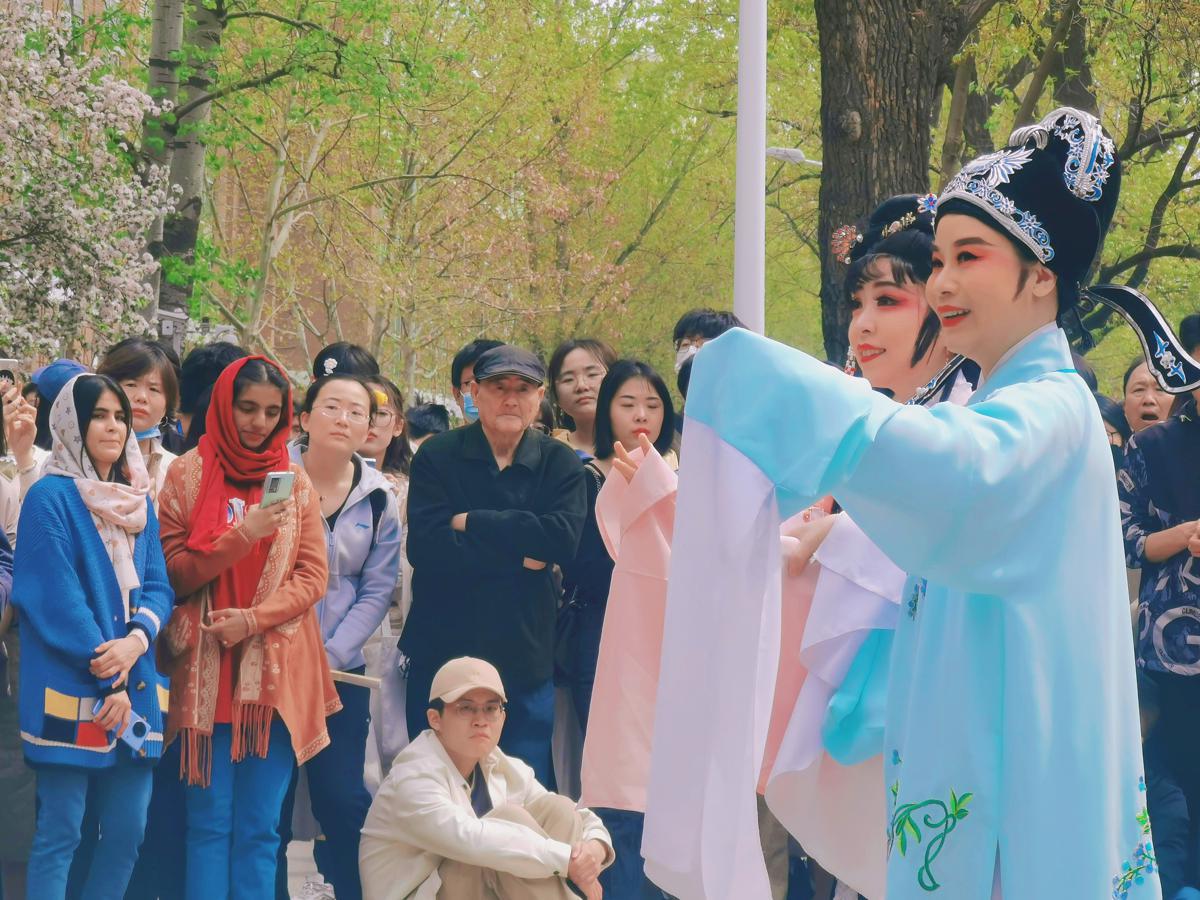 Tianjin University celebrates Crabapple Blossom Festival with public ...