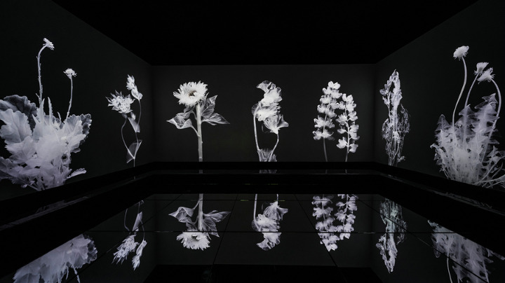 Exhibit explores ebb and flow between transience and permanence - Vimarsana News