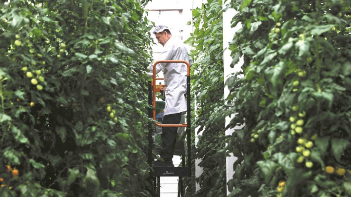 Vertical farming reaches new heights - Vimarsana News