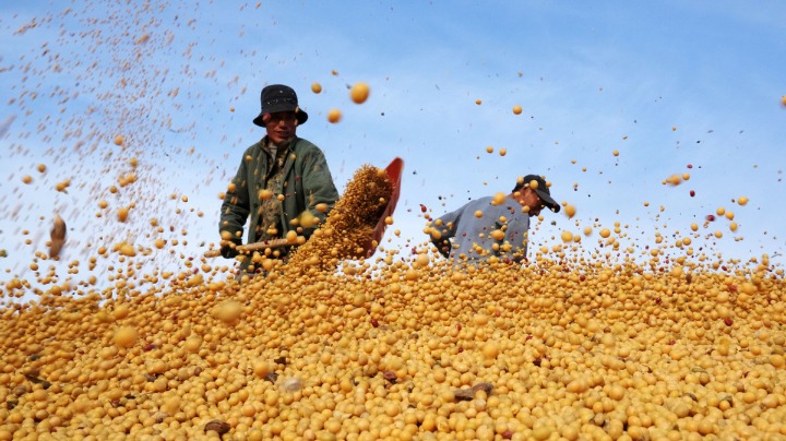 China has 700 million metric tons of grain storage capacity - Vimarsana News