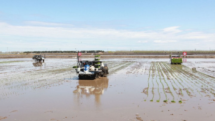 China's breadbasket province leads the way in high-tech agriculture - Vimarsana News