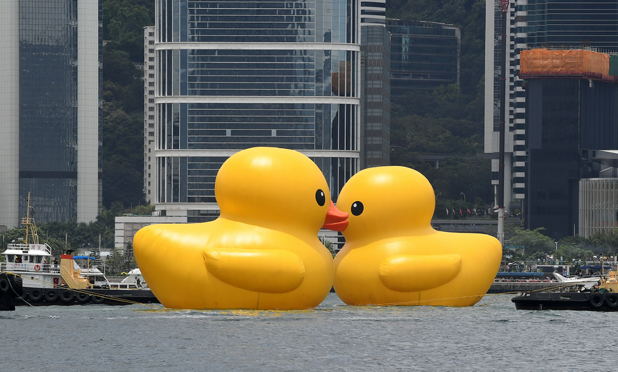 Hong Kong welcomes back its favorite giant rubber ducks after 10 years Chinadaily .cn