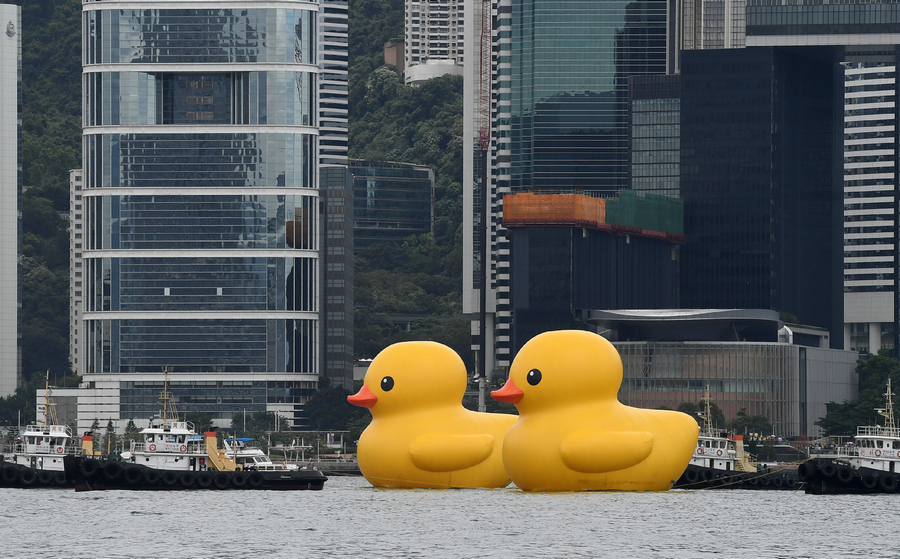 Hong Kong welcomes back its favorite giant rubber ducks after 10 years 