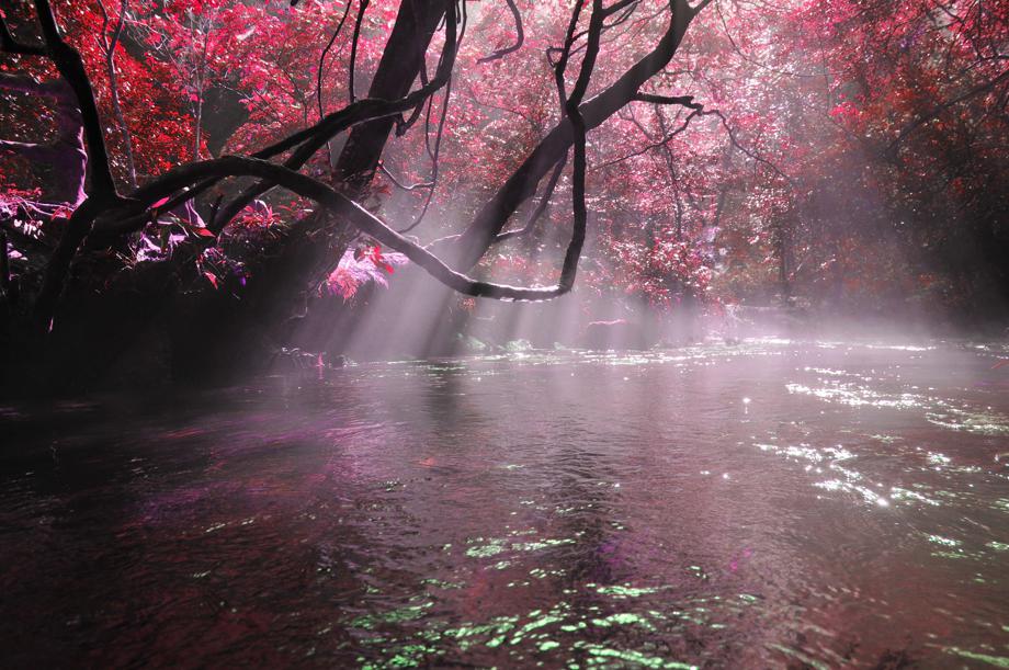 Guizhou landscape presents awe-inspiring sights - Chinadaily.com.cn