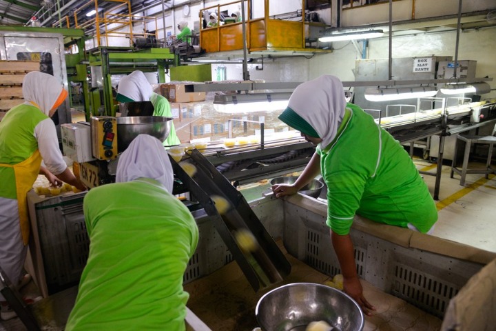 Indonesia merupakan pengekspor nanas yang aktif ke China