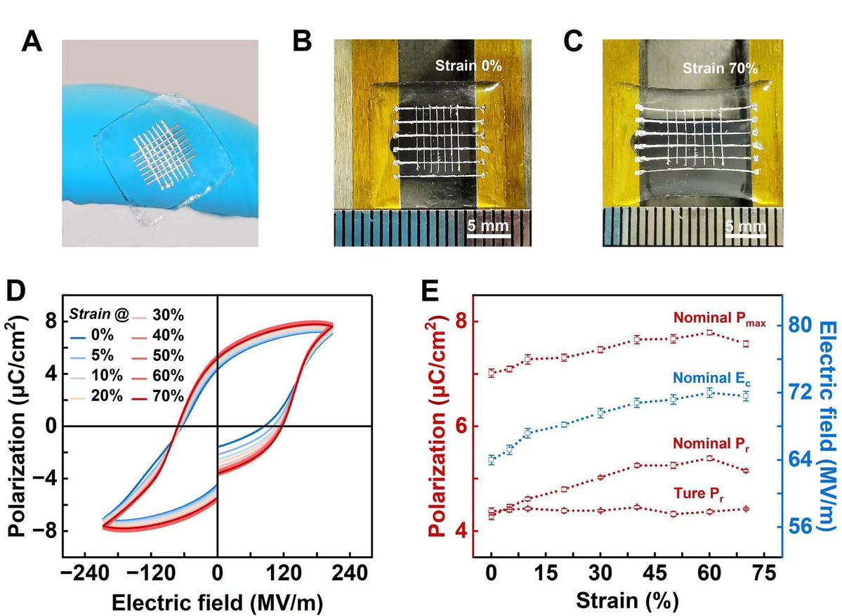 Chinese scientists develop highly-flexible ferroelectric material