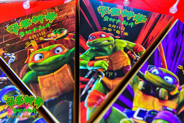 Battle With Donatello - Teenage Mutant Ninja Turtles – Snapping