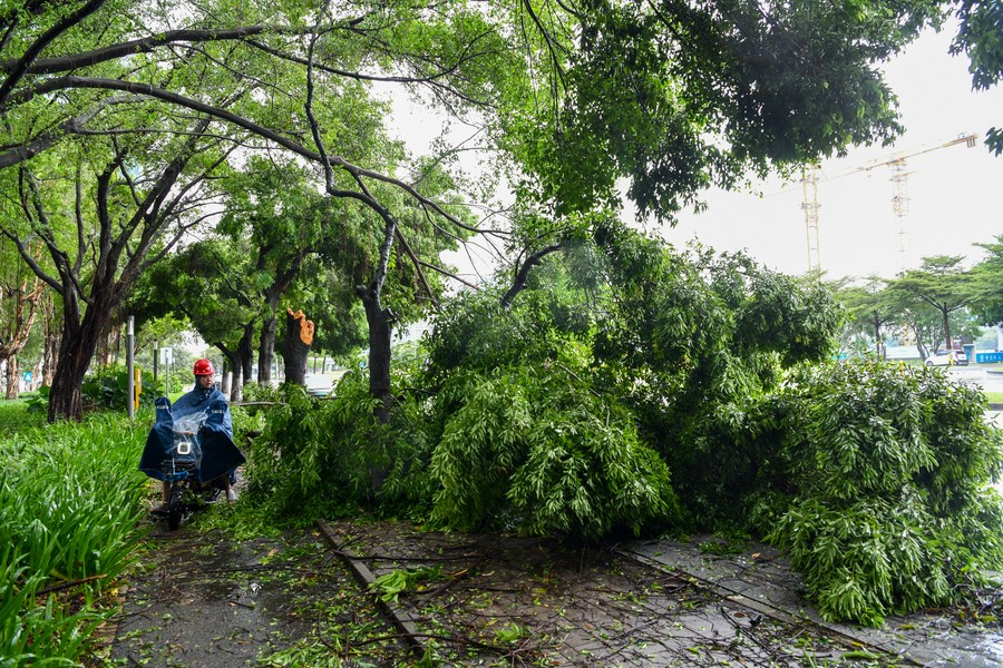 Typhoon Saola brings gale and downpour while landing twice in south China province