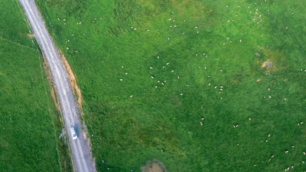 From barren to beautiful: Guizhou grassland restored