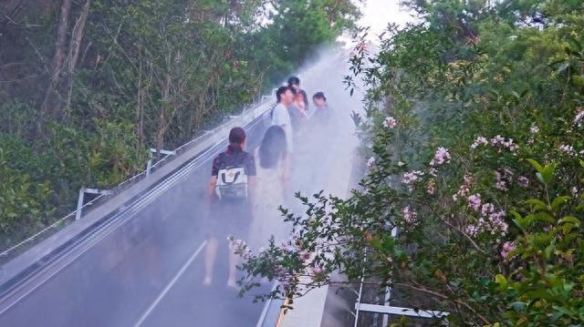Mountain escalators: A new way to enjoy China's mountain tourism - Chinadaily.com.cn