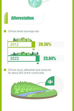China's green achievements in the past decade